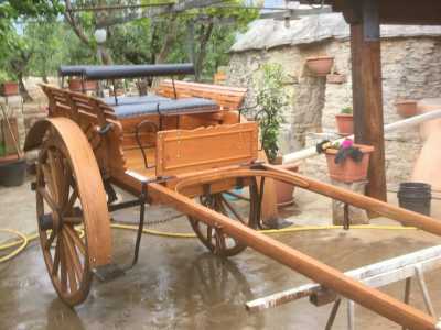 All�ingresso della struttura troviamo una vagnarol, che prende il nome dalla �vignarola�, un tipo di legno che veniva prodotto a Corato. E� un carro pi� elegante di quelli visti in precedenza: di color ocra, pi� leggero, arricchito da sedili in pelle e dotato di ruote di medie dimensioni

